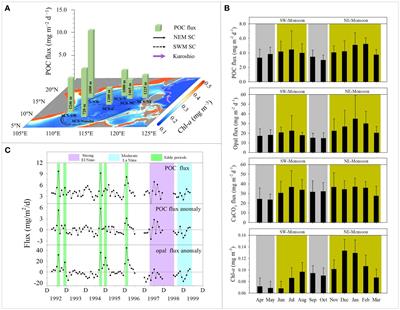 Biological carbon pump responses to multiscale physical processes: a review of sediment trap studies in the South China Sea